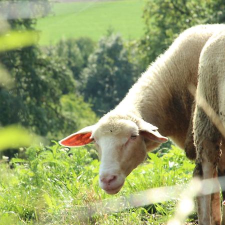 Landvilla Pia Attendorf Zewnętrze zdjęcie
