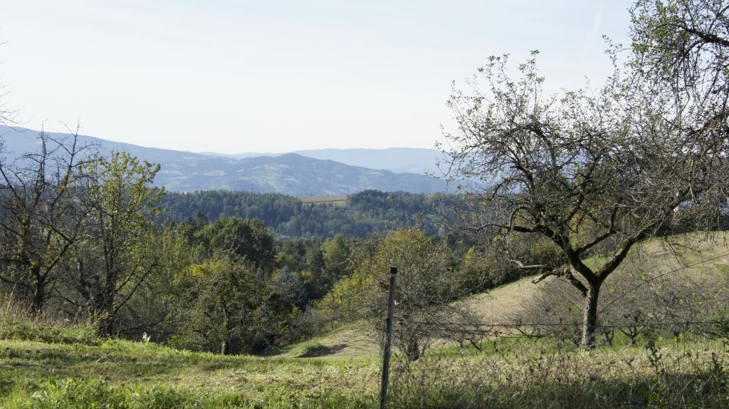 Landvilla Pia Attendorf Zewnętrze zdjęcie
